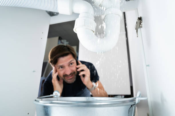 Best Water Softener Installation  in Town Creek, AL
